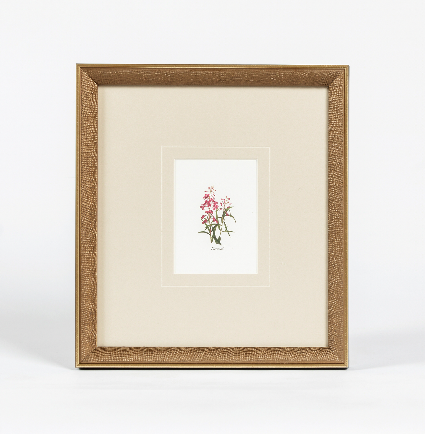 Western Wildflower 1