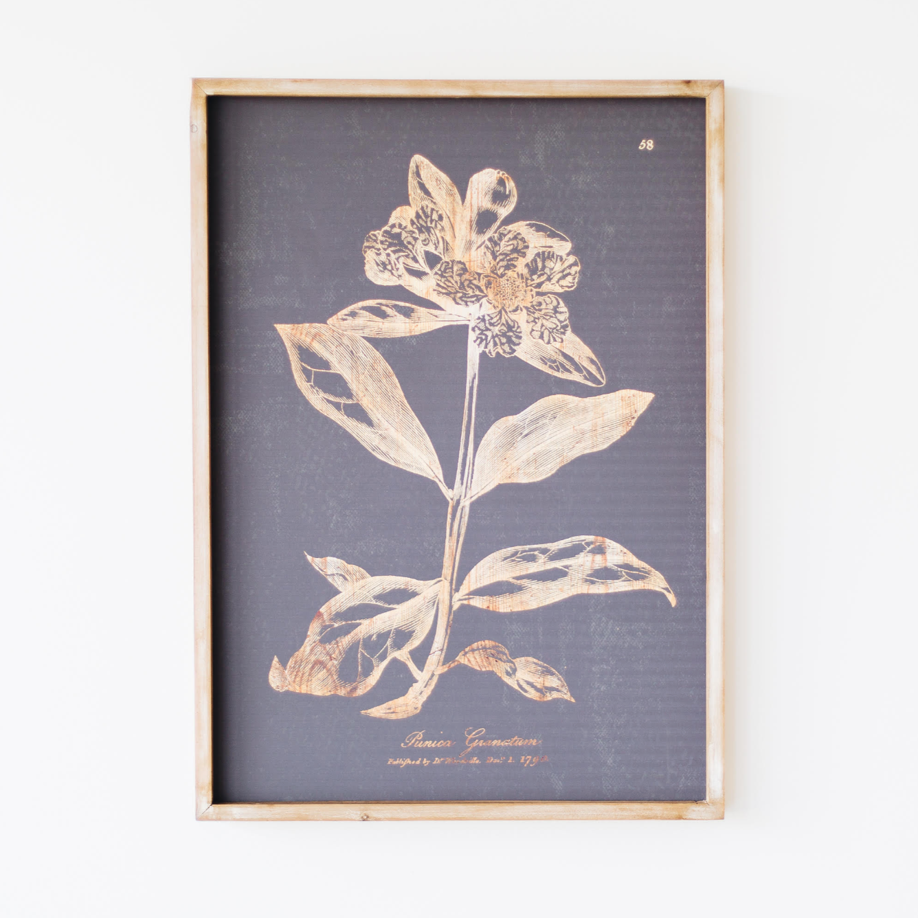 Wood Botanical Print