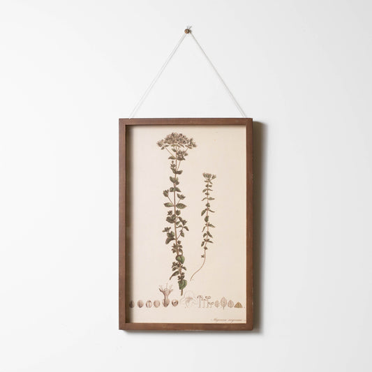 Botanical Framed Prints