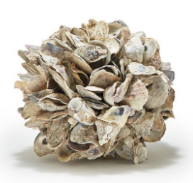 Oyster Shell Ball 9"