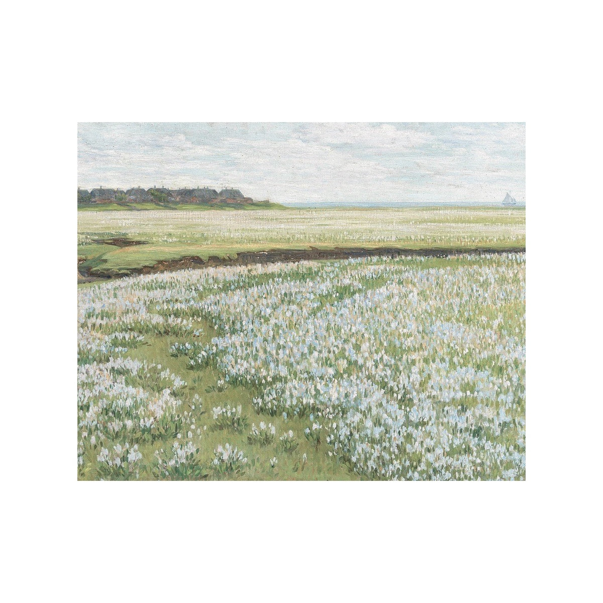 Crocus Field - Unframed Art Print