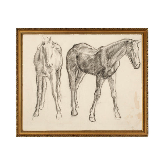 Charcoal Stallion - Unframed Art Print