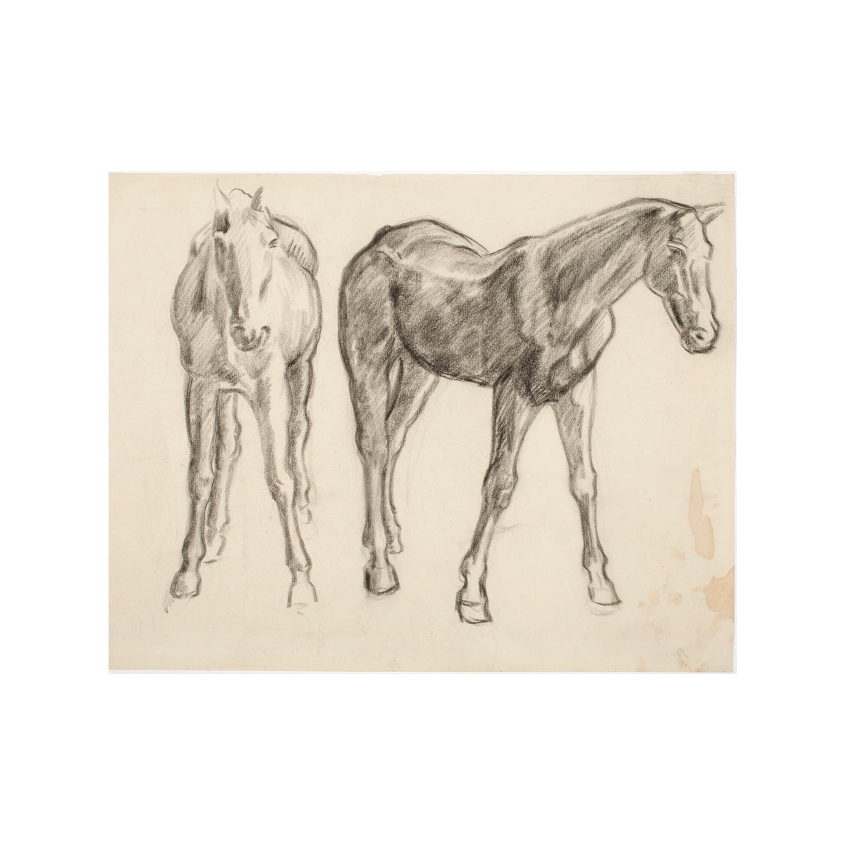 Charcoal Stallion - Unframed Art Print