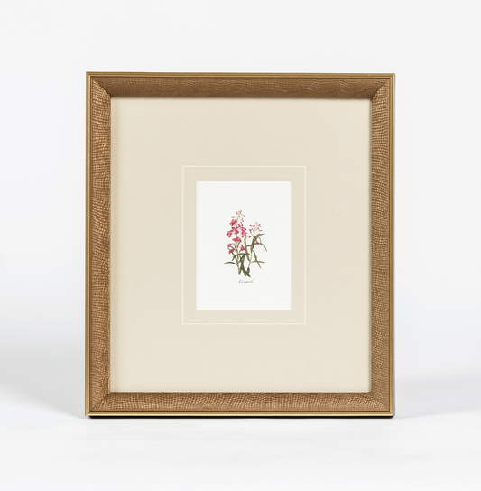 Western Wildflower 1