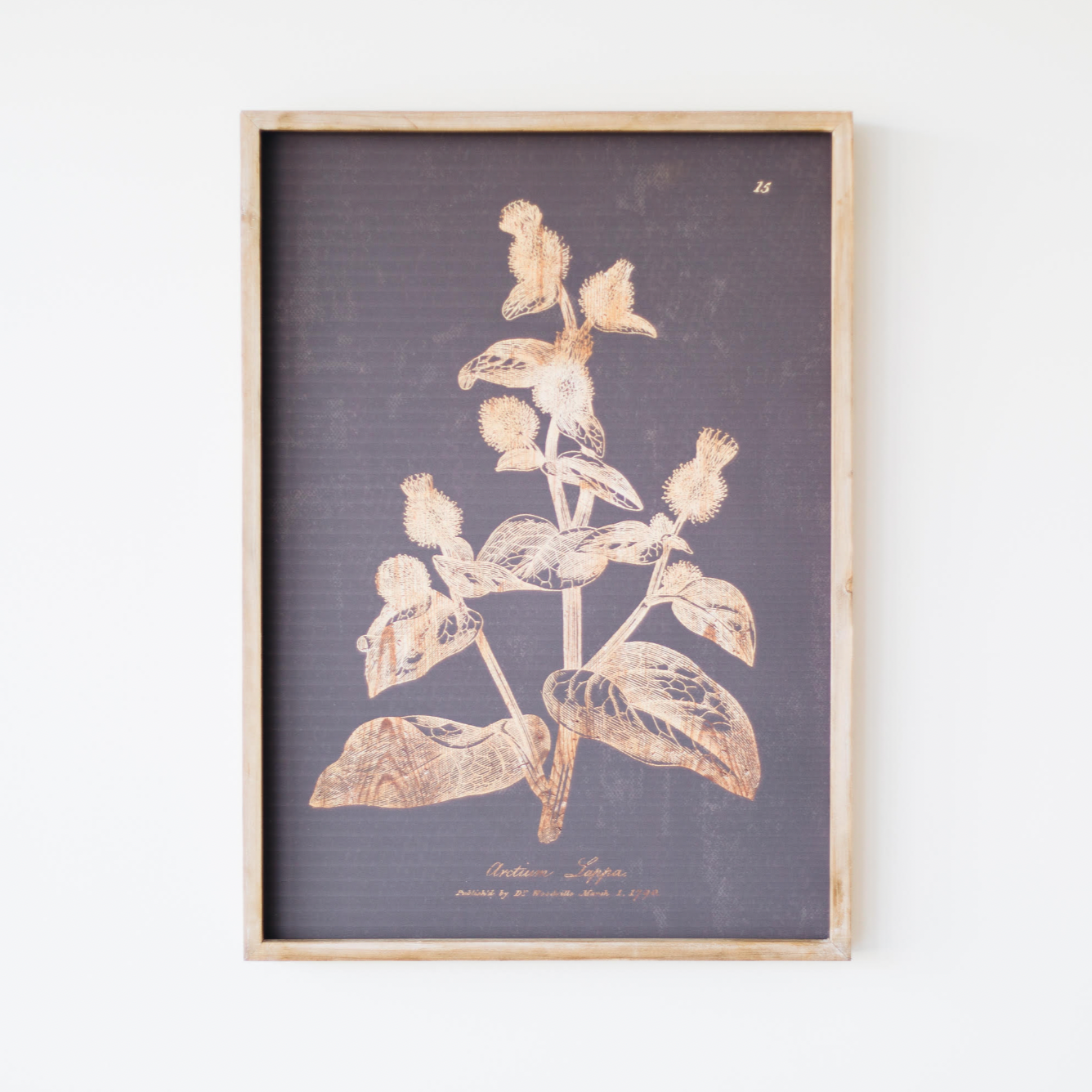 Wood Botanical Print