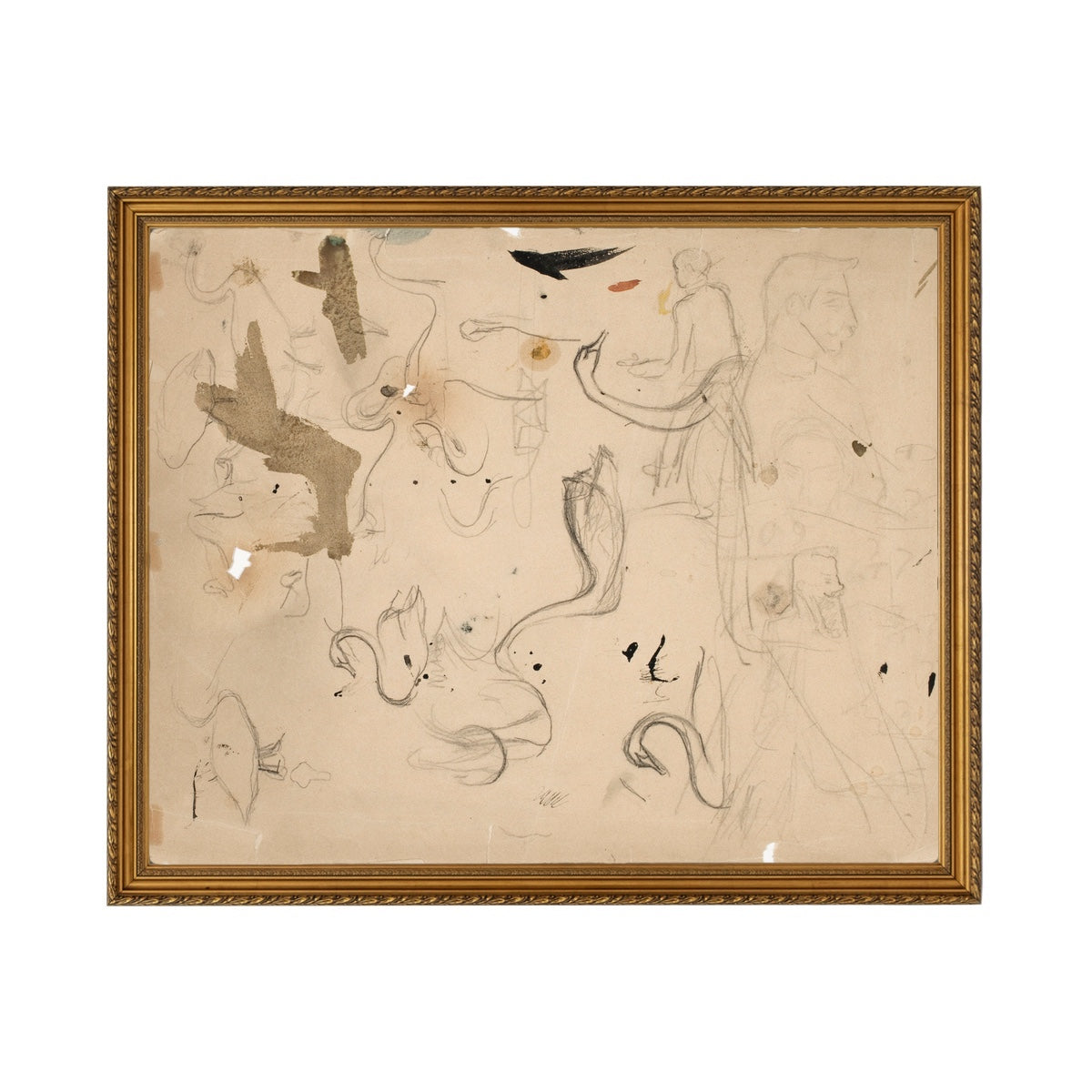 Sketching Swans - Unframed Art Print