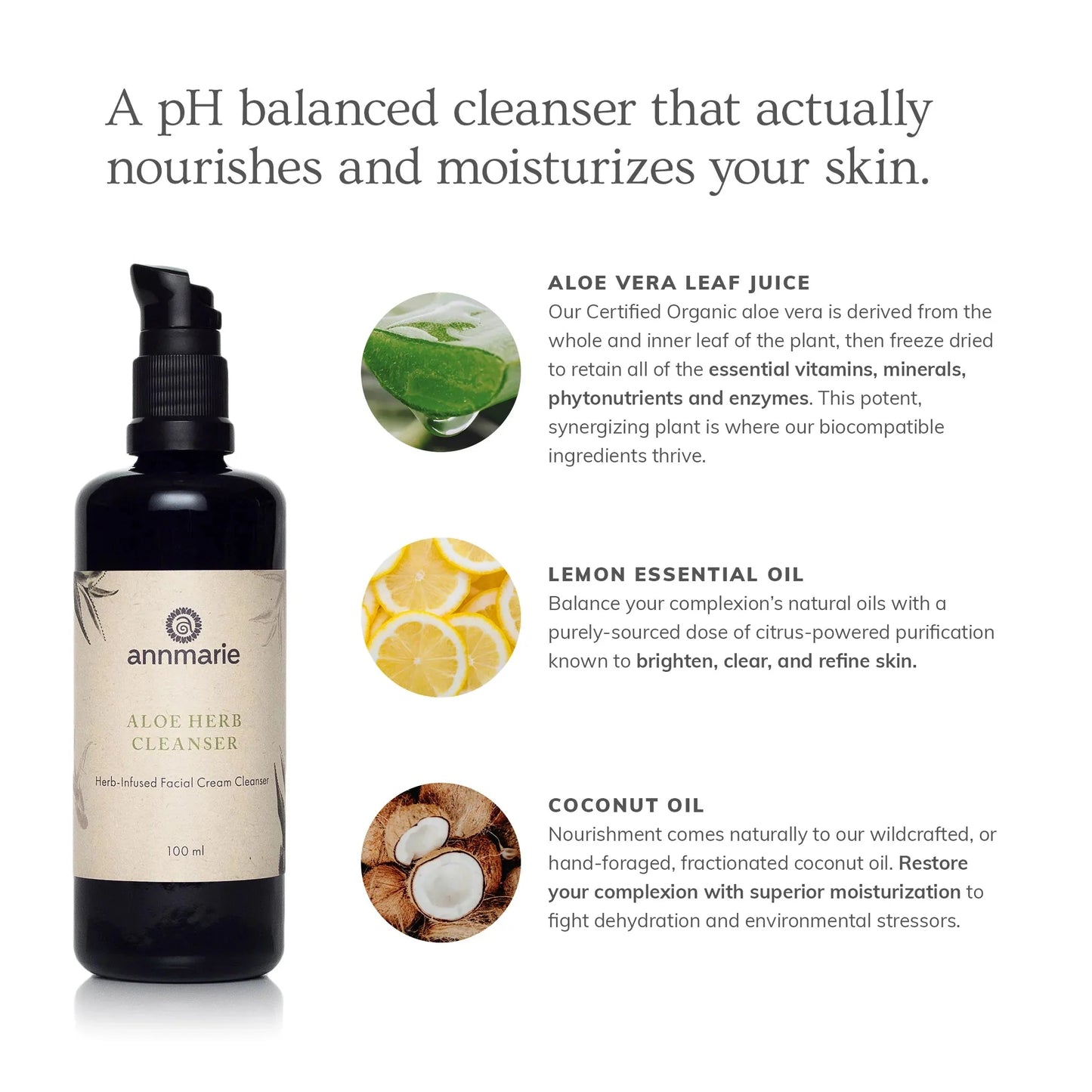 Aloe Herb Cleanser